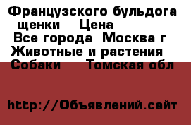 Французского бульдога щенки  › Цена ­ 35 000 - Все города, Москва г. Животные и растения » Собаки   . Томская обл.